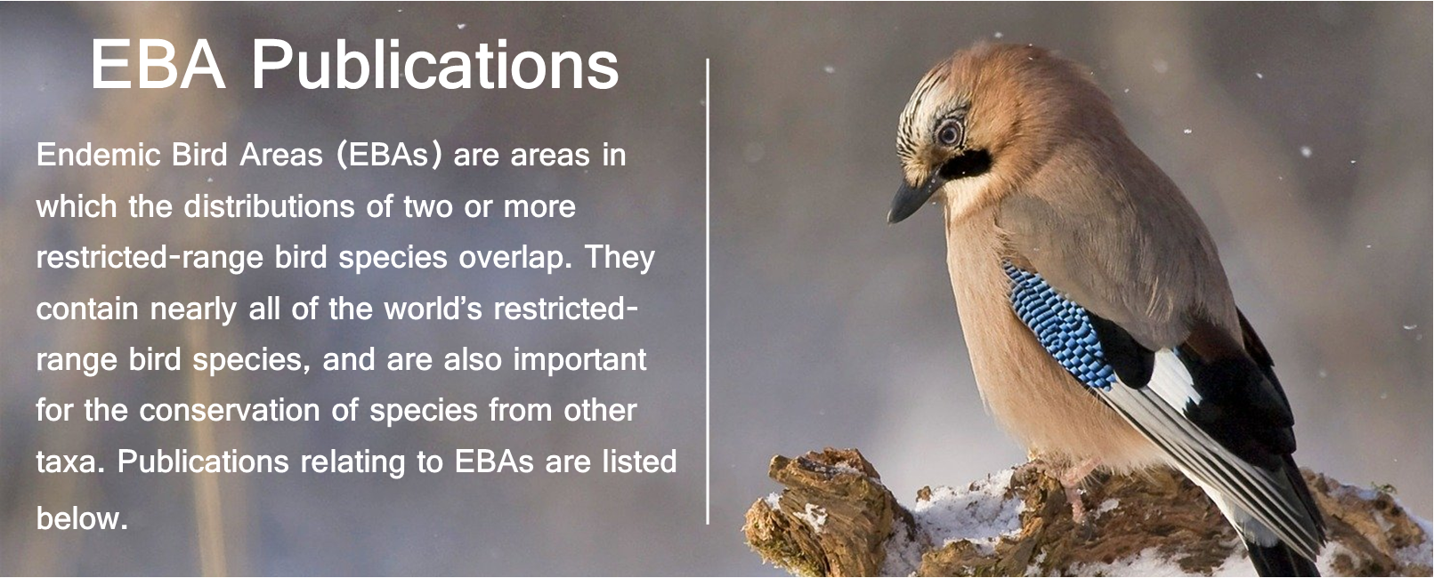 Endemic Bird Areas (EBAs) are areas in which the distributions of two or more restricted-range bird species overlap. They contain nearly all of the world’s restricted-range bird species, and are also important for the conservation of species from other taxa. Publications relating to EBAs are listed below.